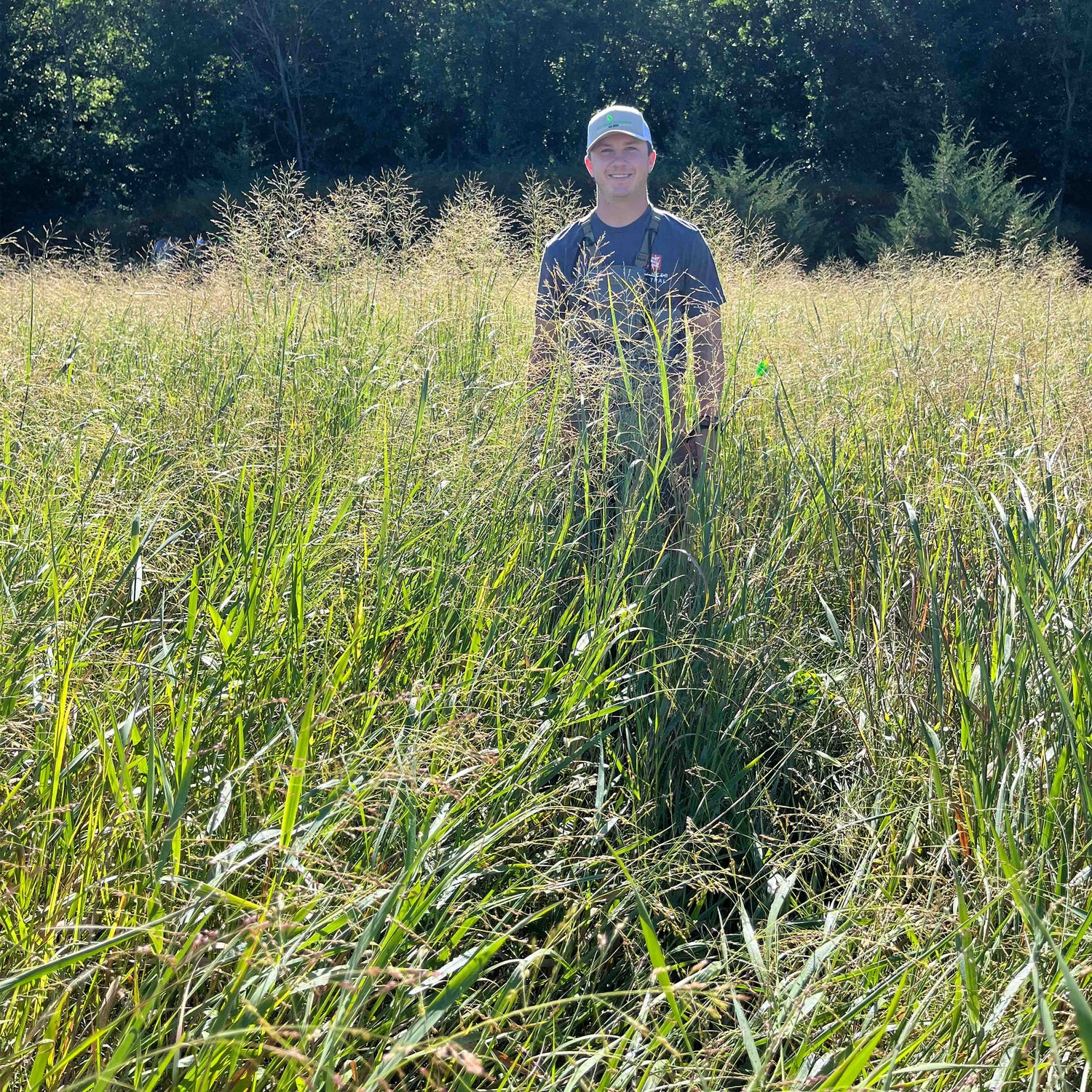 Native Grass Seed