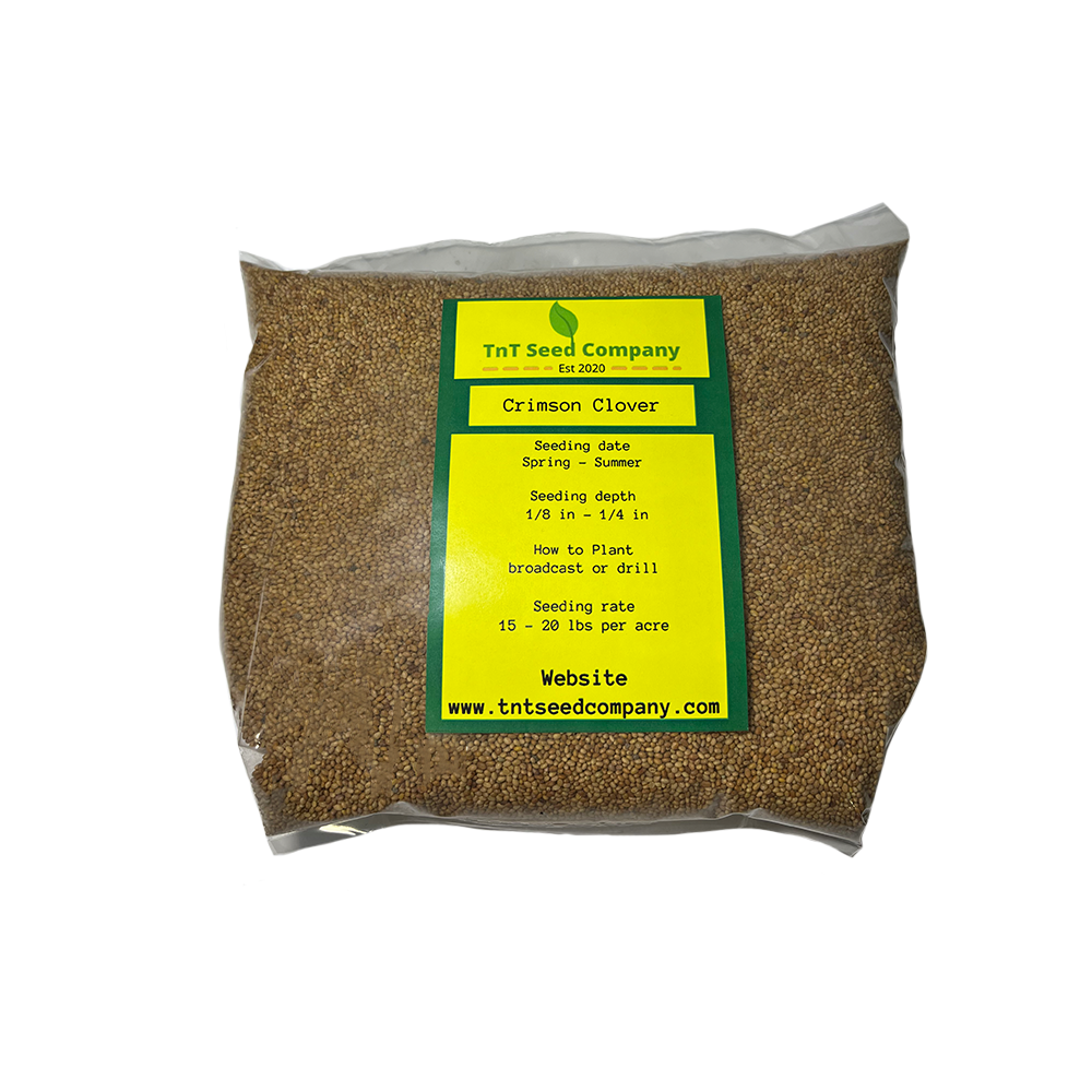 Dixie Crimson Clover – TnT Seed Company