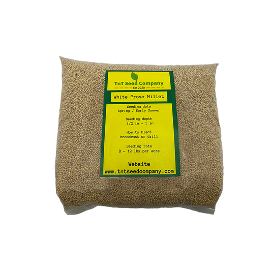 White Proso Millet